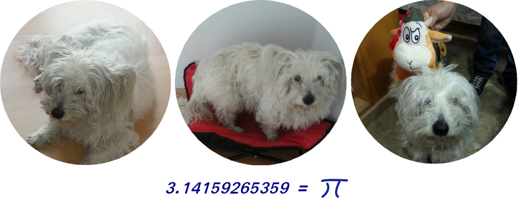 Homenaje a Pi con el número Pi